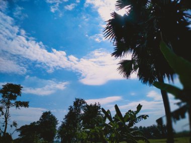 Güzel mavi gökyüzüne ve güneşe karşı yeşil ağaçlar.