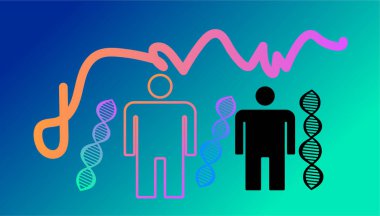 DNA, illüstrasyon, vektör DNA şekilleri