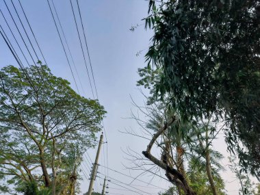 yüksek voltaj kulesi, elektrik iletimi