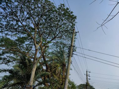 Barselona şehrinin manzarası