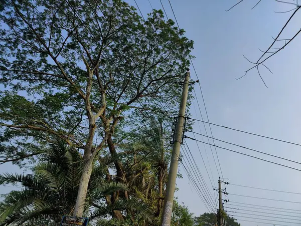 Barselona şehrinin manzarası