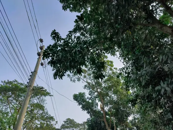 yüksek voltajlı elektrik hatları, elektrik iletimi