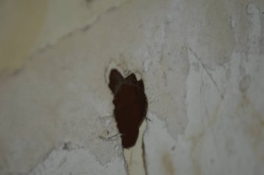 Kırık parçaları olan eski duvar.