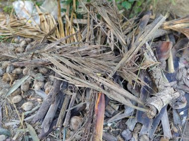 Bahçedeki kuru otlar