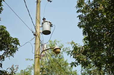 Parkta kablolu elektrik direği