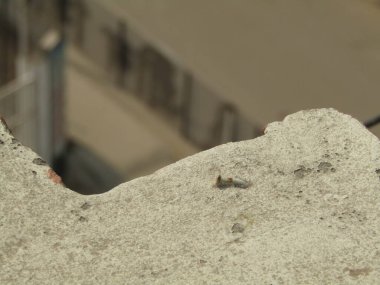 Beyaz tuğlalı bir duvara çok farklı şekillerde yakın dur.