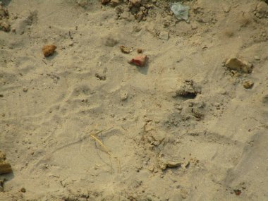 kum dokusu arkaplanı, soyut doğa arkaplanı