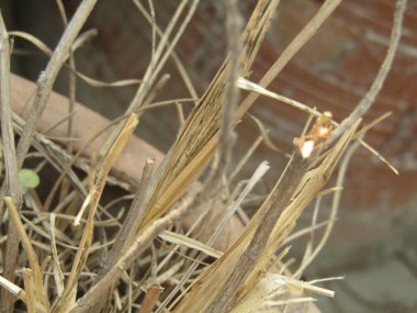 Bir fabrikanın yakınında.