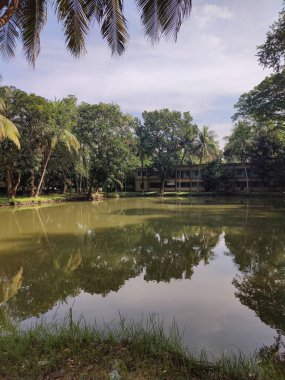 Göl şehrinde güzel bir park manzarası.