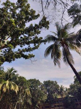 Parkın güzel manzarası