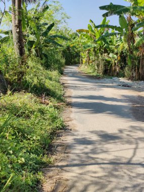 Köy yolu ağaçlarla ve güzel doğayla kaplı. Ortaçağ 'daki eski köyün kırsal yolu..