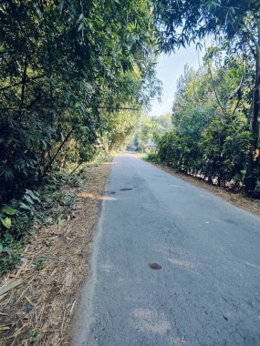 Köy yolu ağaçlarla ve güzel doğayla kaplı. Ortaçağ 'daki eski köyün kırsal yolu..