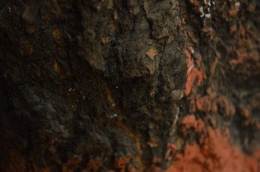 Kırmızı ve beyaz bir ağaca yaklaş