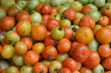 Pazarda taze domates