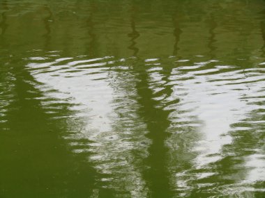 Şehir gelişiminin çerçevelediği sakin bir kanal, bulutlu koşullar altında ağaçları ve gökyüzünü yansıtıyor. Şehir manzarasının ve huzurlu suların özünü yakalıyorum..