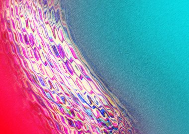 Soyut yumuşak grunge doku arkaplanı. renkli örtü şablonu canlı perspektif dalgası ile. Pankart, broşür ve reklamlar için ideal tasarım. Sosyal medya, kapak