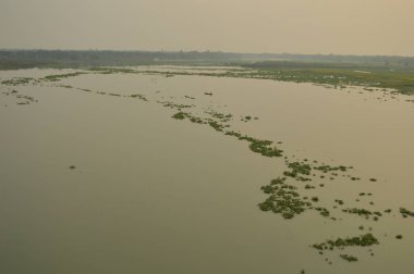 Sabahları nehir ve ormanın havadan görüntüsü.