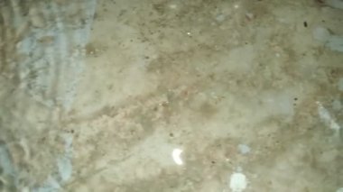 Yere yağmur suyu yağıyor. Su sıçratma detay gibi görünüyor.