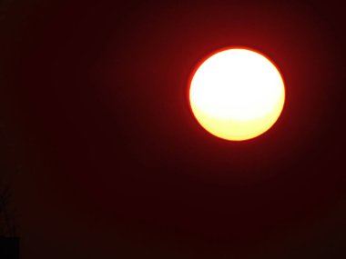 Aylı bir ağacın silueti.