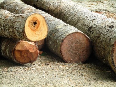 Yığın ahşap günlükleri, arka plan ağaç