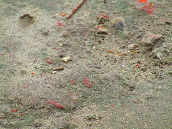 Yeryüzü tonlarının ve ince gradyanların bir karışımını yakalayan dokulu yüzey, fotoğrafçılık, grafik tasarımı veya dijital sunumlarda arka plan amaçları için mükemmel görsel olarak nötr bir zemin sağlıyor..