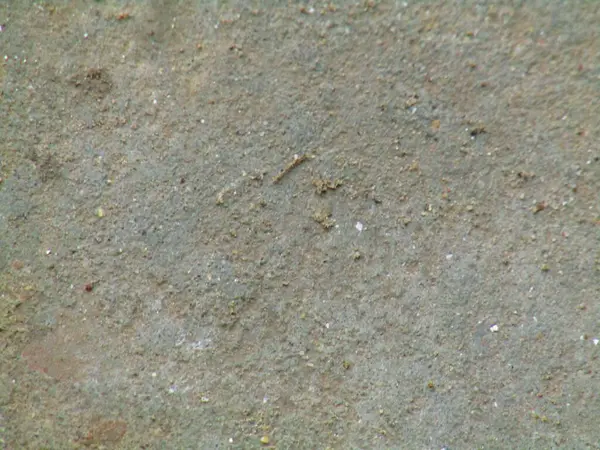 Yeryüzü tonlarının ve ince gradyanların bir karışımını yakalayan dokulu yüzey, fotoğrafçılık, grafik tasarımı veya dijital sunumlarda arka plan amaçları için mükemmel görsel olarak nötr bir zemin sağlıyor..