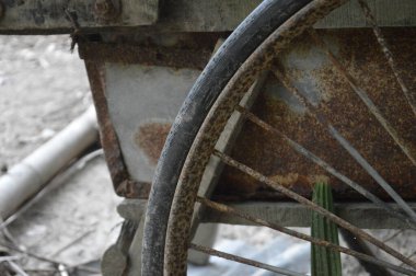 Bahçede eski bir bisiklet