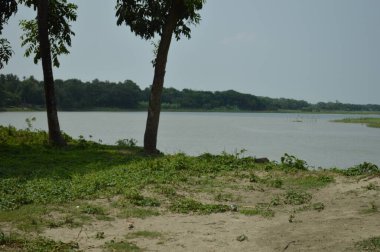 Canlı yeşil yapraklar ve ağaçlarla çevrili huzurlu bir nehir manzarası. Huzur saçıyor..