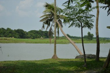 Canlı yeşil yapraklar ve ağaçlarla çevrili huzurlu bir nehir manzarası. Huzur saçıyor..