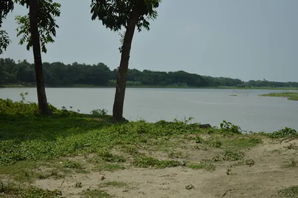 Canlı yeşil yapraklar ve ağaçlarla çevrili huzurlu bir nehir manzarası. Huzur saçıyor..