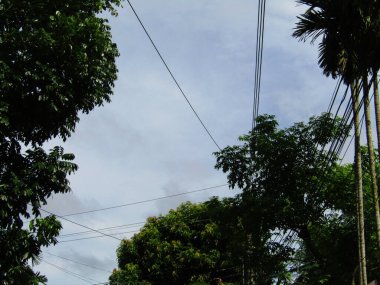 Palmiyeler gökyüzüne doğru uzanan görünür elektrik hatlarıyla canlı, açık ve güneşli bir gökyüzü altında tropikal bir ortam yaratıyorlar. Sahne, kentselliğin dokunuşuyla birleşince doğal bir canlılık sağlıyor..