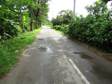 Köyün ortasındaki yol. Kırsal bir köyde çeşitli ağaçlar var.