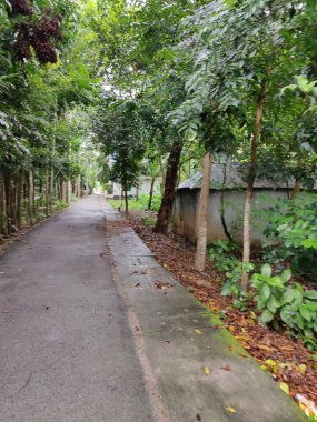 Parkın güzel manzarası