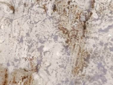 Kırsal ahşap yüzeyin karmaşık doğal dokusuyla detaylandırılmış yakın çekimi.