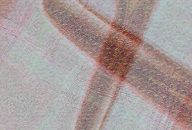 İnce bir şablona sahip renkli soyut bir arkaplan. Grafik tasarım projelerinde, sunumlarda veya dijital sanat eserlerinde hassas bir tasarım veya zemin olarak kullanmak için mükemmel.