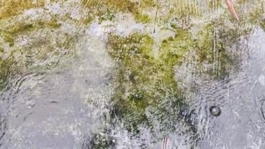 Nehirdeki havadan su manzarası