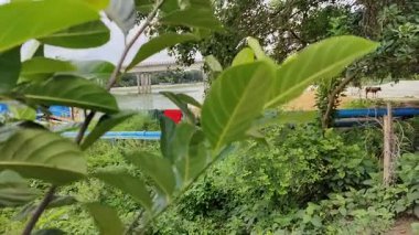 Yangın ve duman şehir