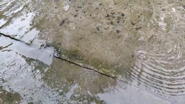 Metal bir dokunun soyut arkaplanı