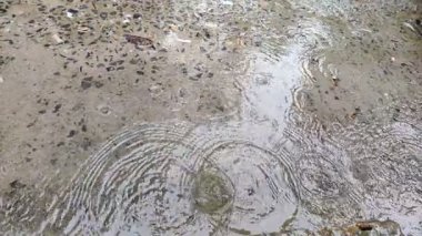 Su yüzeyine yağmur damlaları yağar.