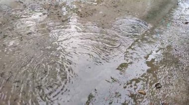 Yere yağmur damlaları düşer.