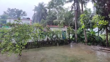 Ağaçlı yağmur ormanlarının güzel bir görüntüsü.