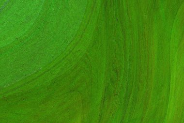 Canlı yeşil desen dinamik ve akışkan bir doku gösteriyor, doğal büyümeyi çağrıştırıyor. Tasarım projeleri, sanatsal arka planlar ya da armoni ve tazeliği vurgulayan yaratıcı kavramsal tasvirler için ideal..