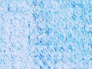 Sanatsal desenli renkler içeren soyut bir sanat eseri, modern estetik duygusunu doğal esinlenmelerle harmanlıyor..