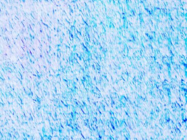 Sanatsal desenli renkler içeren soyut bir sanat eseri, modern estetik duygusunu doğal esinlenmelerle harmanlıyor..