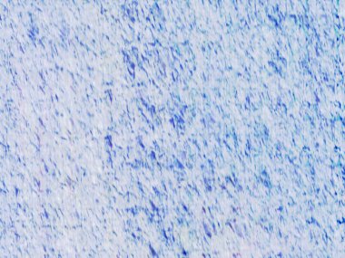 Sanatsal desenli renkler içeren soyut bir sanat eseri, modern estetik duygusunu doğal esinlenmelerle harmanlıyor..