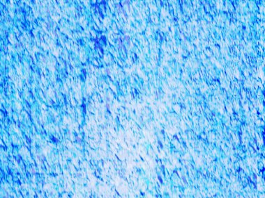 Sanatsal desenli renkler içeren soyut bir sanat eseri, modern estetik duygusunu doğal esinlenmelerle harmanlıyor..