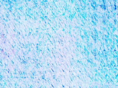 Sanatsal desenli renkler içeren soyut bir sanat eseri, modern estetik duygusunu doğal esinlenmelerle harmanlıyor..