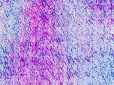 Sanatsal desenli renkler içeren soyut bir sanat eseri, modern estetik duygusunu doğal esinlenmelerle harmanlıyor..