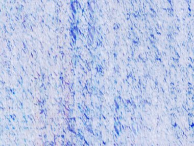 Sanatsal desenli renkler içeren soyut bir sanat eseri, modern estetik duygusunu doğal esinlenmelerle harmanlıyor..