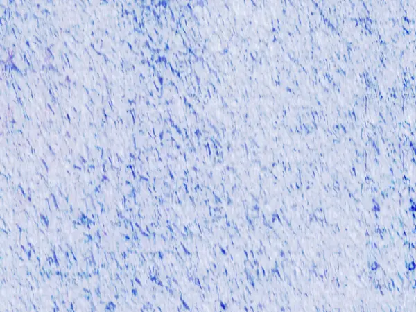 Sanatsal desenli renkler içeren soyut bir sanat eseri, modern estetik duygusunu doğal esinlenmelerle harmanlıyor..